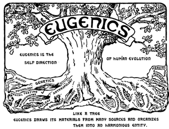american eugenics society negative eugenics